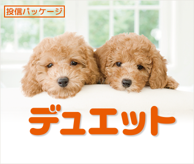 投信パッケージ「デュエット」