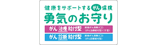 健康をサポートするがん保険 勇気のお守り